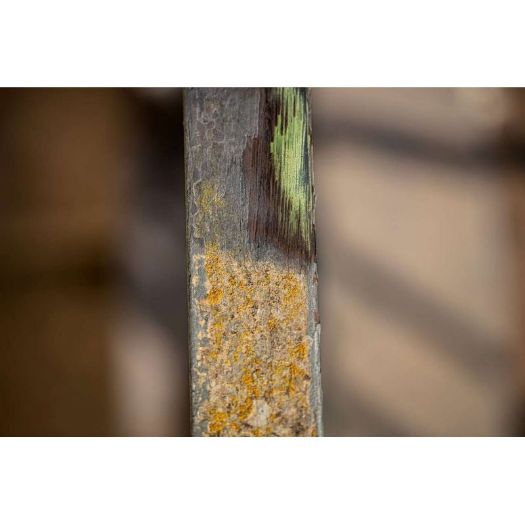 MRS1300 Metalna četka za rotacijsku brusilicu