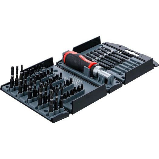 Set torzijskih bitova 52 dijela s T-ručkom i čegrtaljkom 1/4"