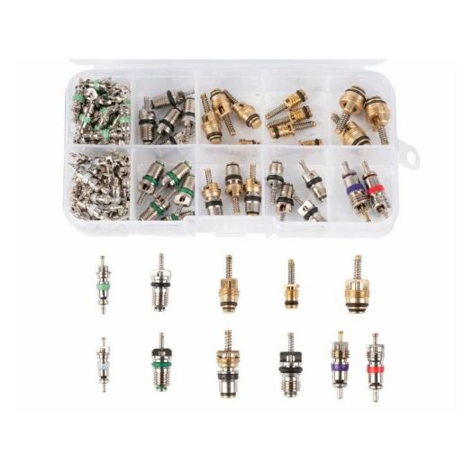 Set ventila za auto klimu 100 kom 10 vrsta za R134a sustave