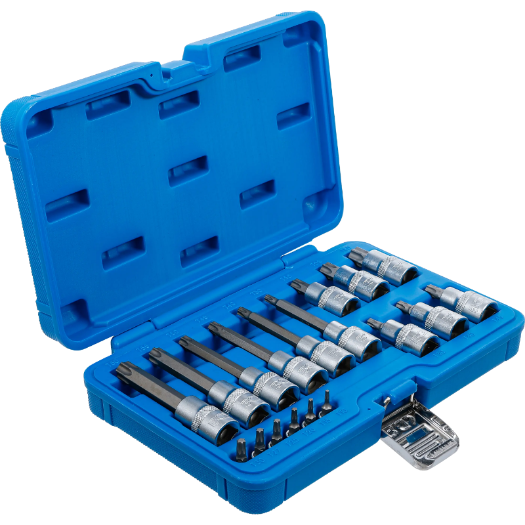 Set TORX bit nastavaka 1/4" i 1/2", T10 - T60, 18 kom