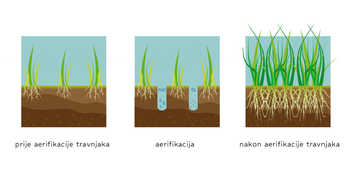 00032477 aerifikacija 00032477 aerifikacija