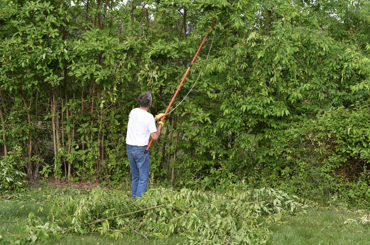 00040062 rezanje visokih grana 00040062 rezanje visokih grana