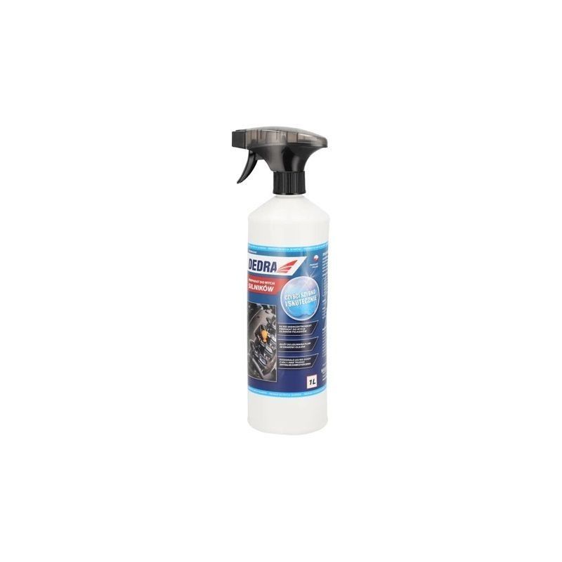 Lavaggio motore con spray 1L